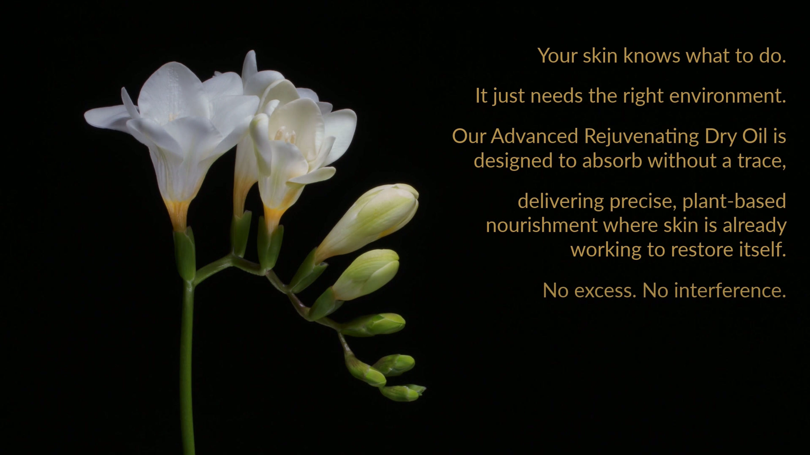 Nature and Wellness Visuals